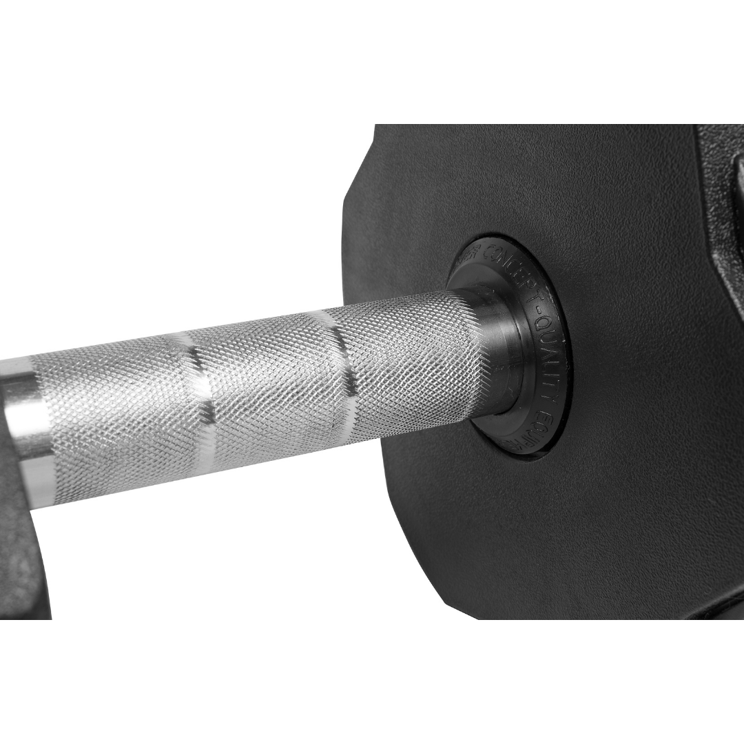 Jogo de Dumbbells 12 a 30kg Lion Monobloco Injetado