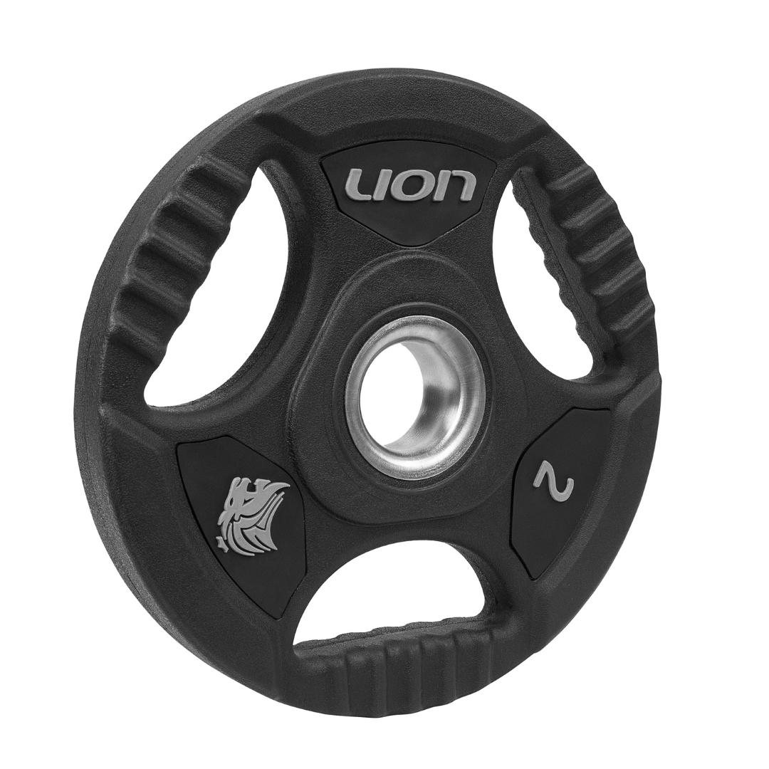 Anilha Lion Furo Padrão Standart 2 kg