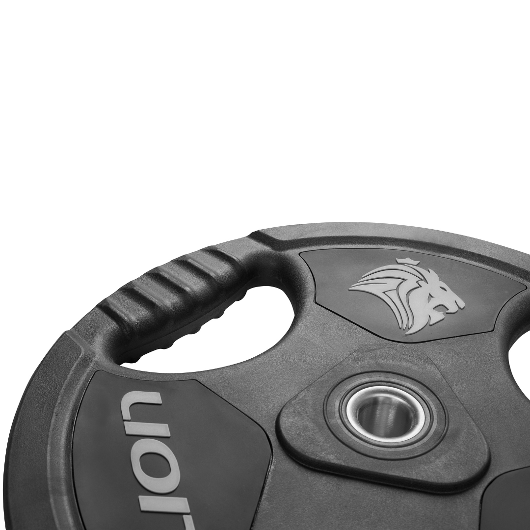 Anilha Lion Furo Padrão Standart 2 kg