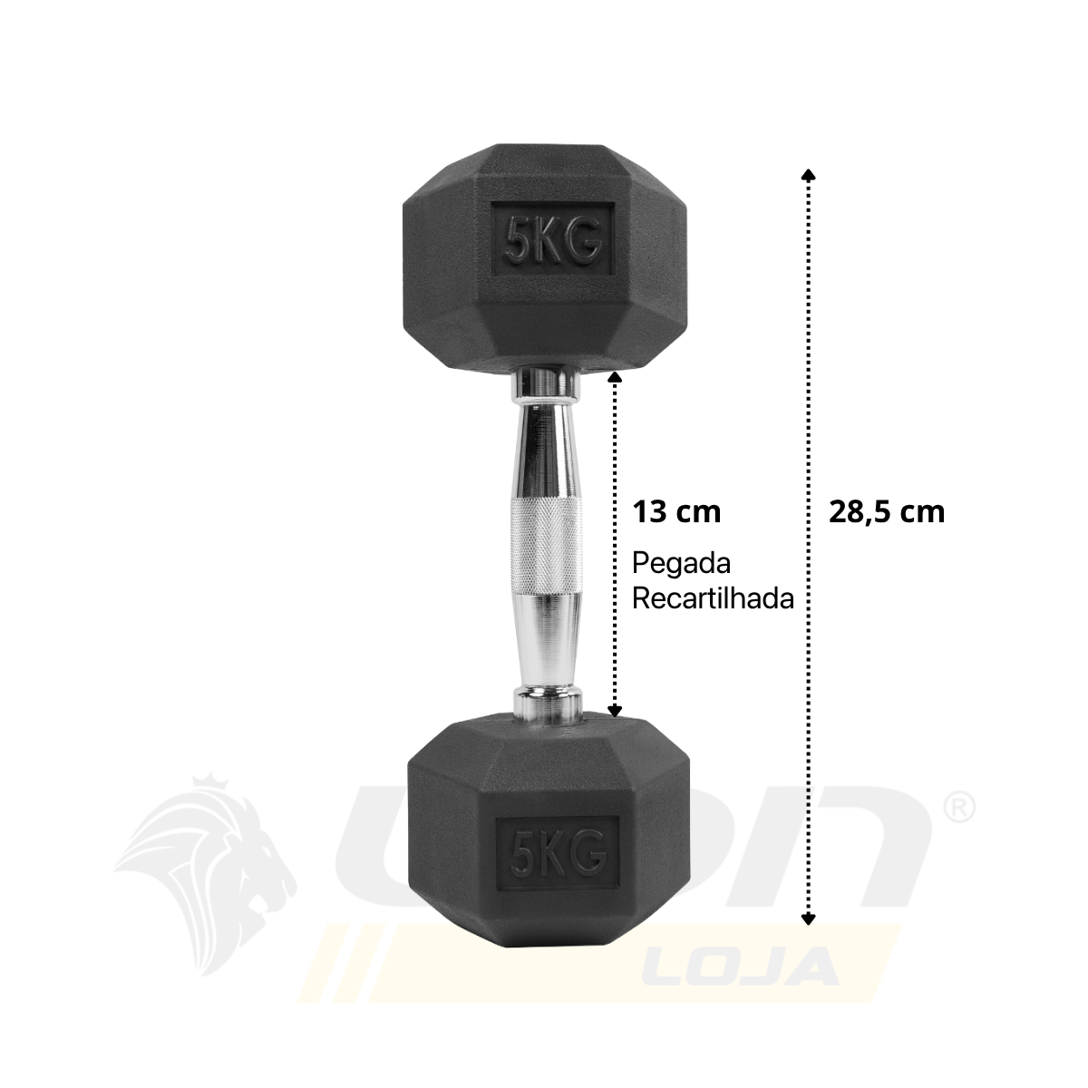 Jogo Halter Lion Sextavado 1 a 10 Kg Aço Cromado