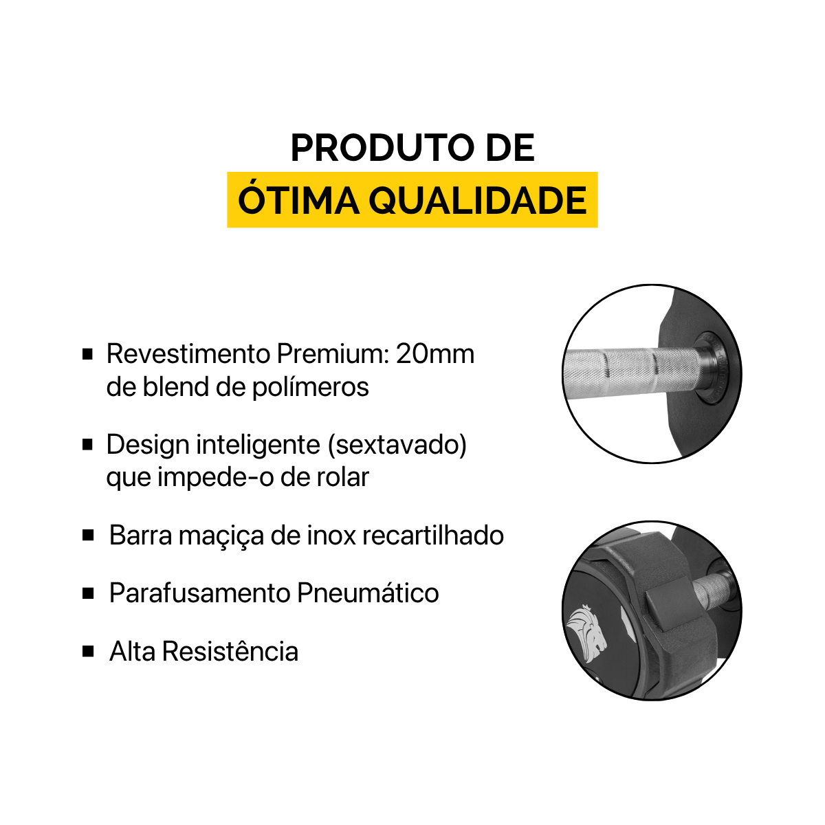 Par de Dumbbells 28kg Lion Monobloco Injetado