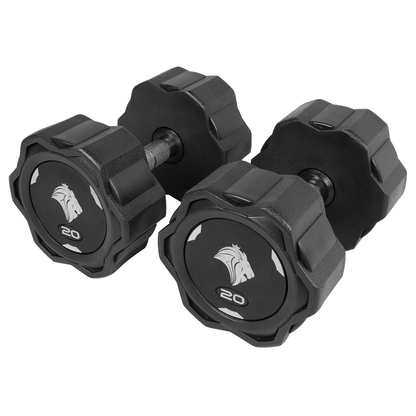 Par de Dumbbells 20kg Lion Monobloco Injetado