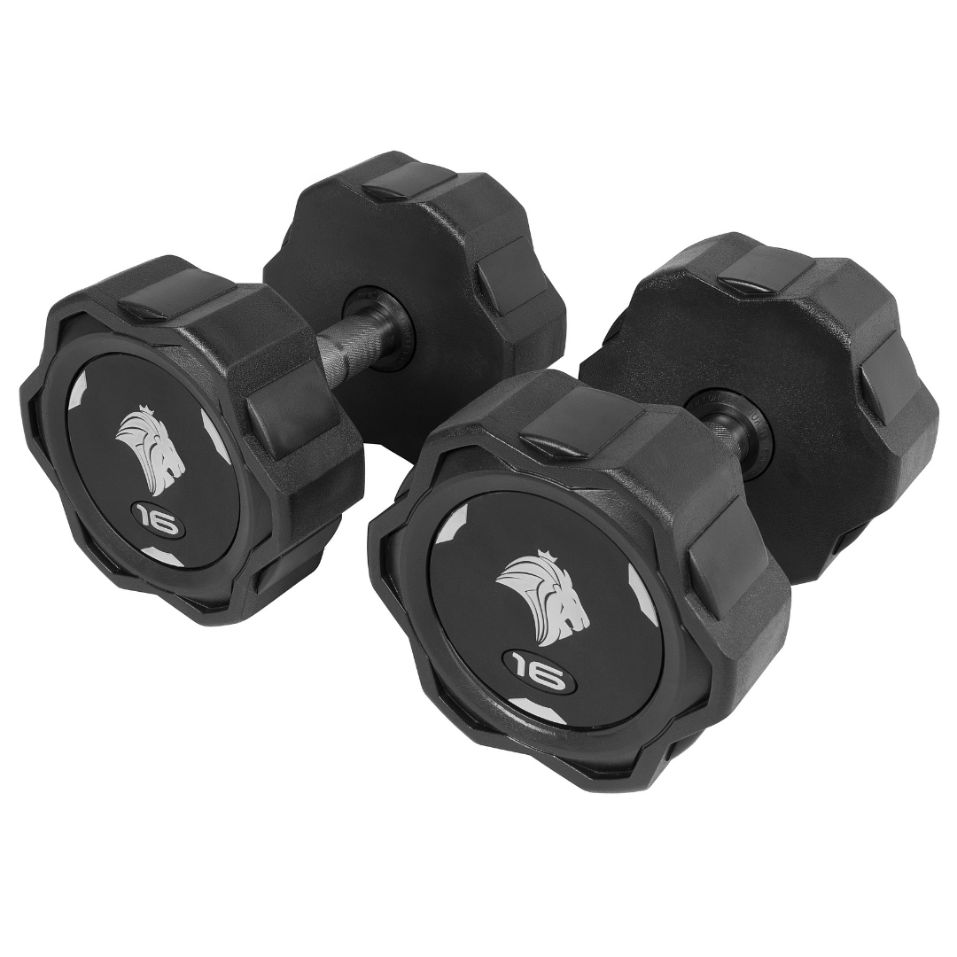 Par de Dumbbells 16kg Lion Monobloco Injetado