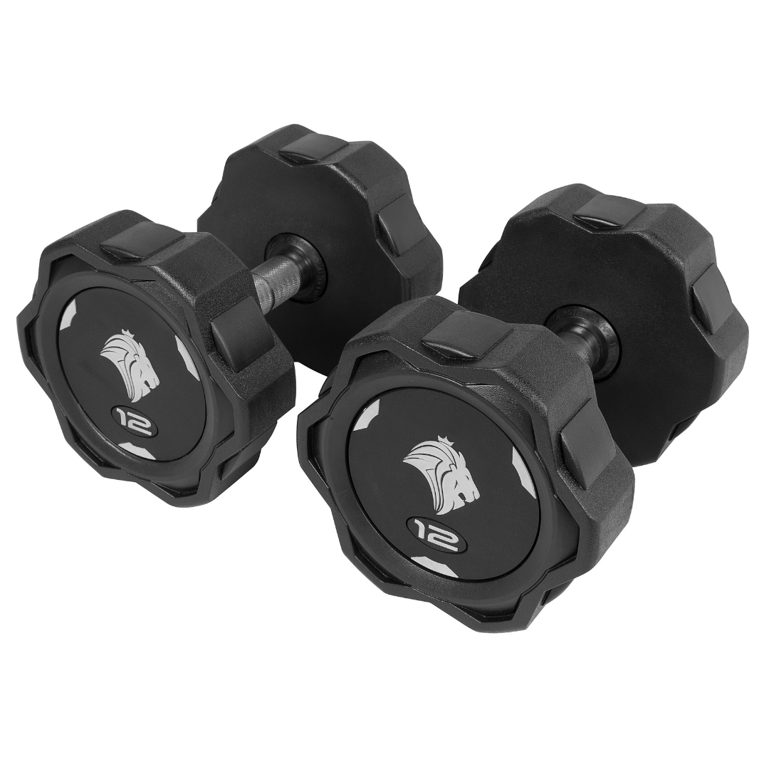 Par de Dumbbells 12kg Lion Monobloco Injetado