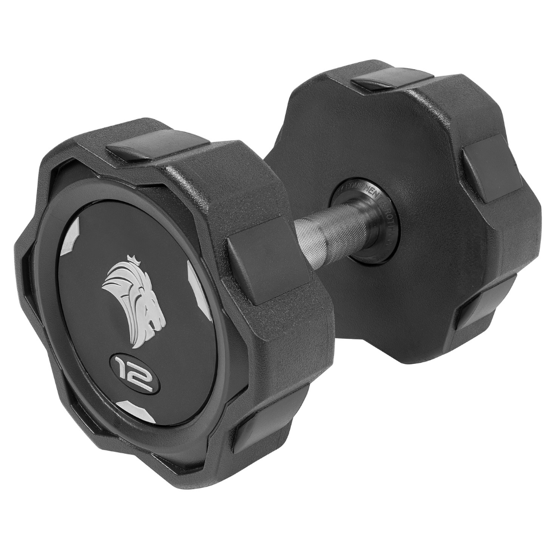 Par de Dumbbells 12kg Lion Monobloco Injetado