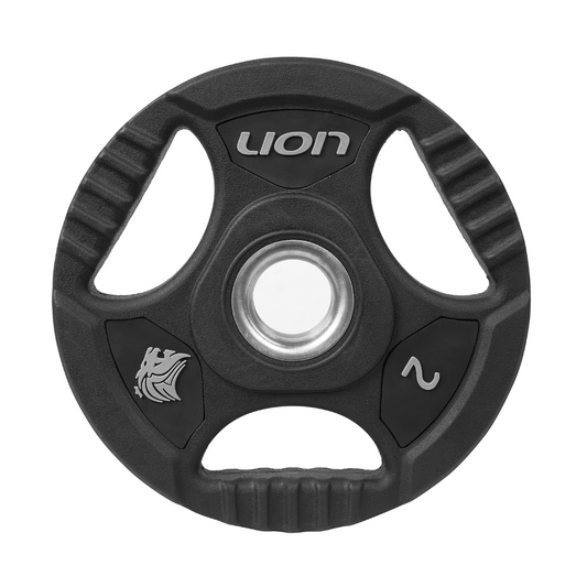 Anilha Lion Furo Padrão Standart 2 kg