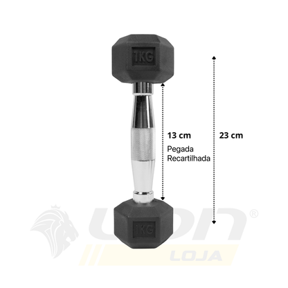 Par de Halteres Lion Sextavado 1kg Aço Cromado
