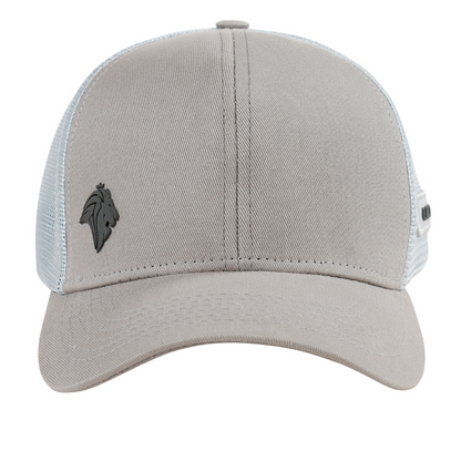 Boné Lion Aba Curva Trucker Esporte Cinza Unissex