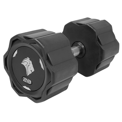 Par de Dumbbells 28kg Lion Monobloco Injetado