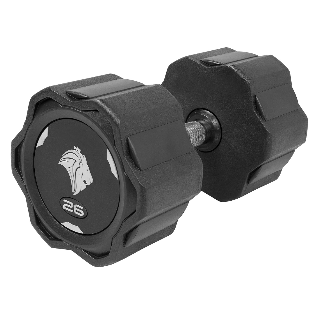 Par de Dumbbells 26kg Lion Monobloco Injetado