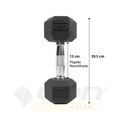 Par de Halteres Lion Sextavado 6kg Aço Cromado