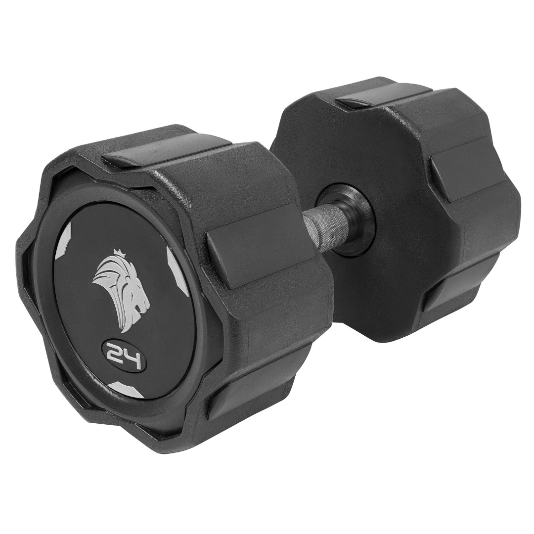 Par de Dumbbells 24kg Lion Monobloco Injetado