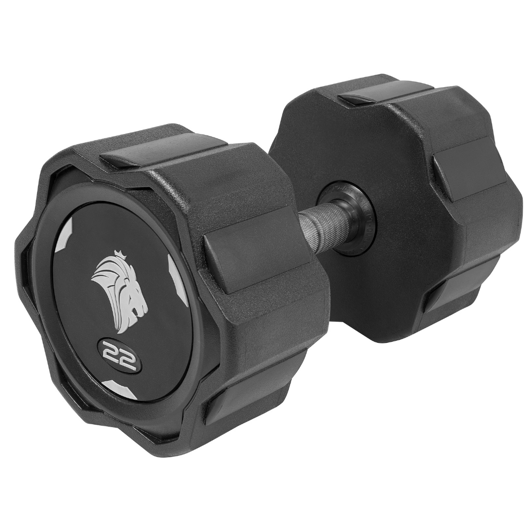 Par de Dumbbells 22kg Lion Monobloco Injetado