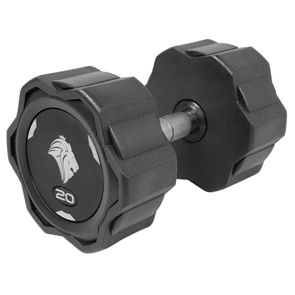 Par de Dumbbells 20kg Lion Monobloco Injetado