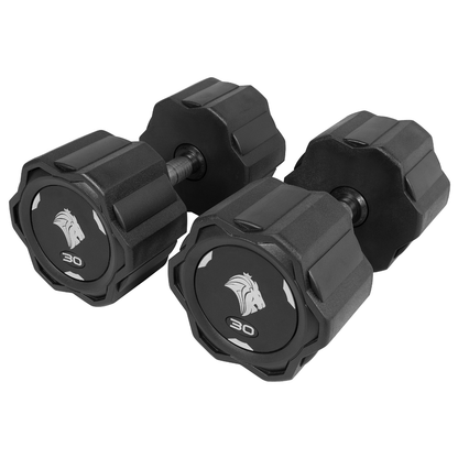 Par de Dumbbells 30kg Lion Monobloco Injetado