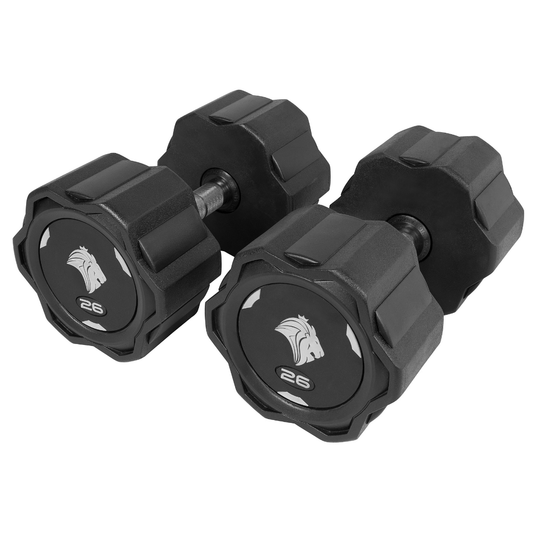 Par de Dumbbells 26kg Lion Monobloco Injetado