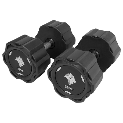 Par de Dumbbells 24kg Lion Monobloco Injetado